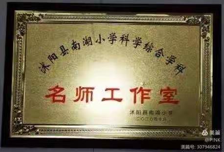 与书本相伴，与智者同行---南湖小学科学综合名师工作室读书交流活动