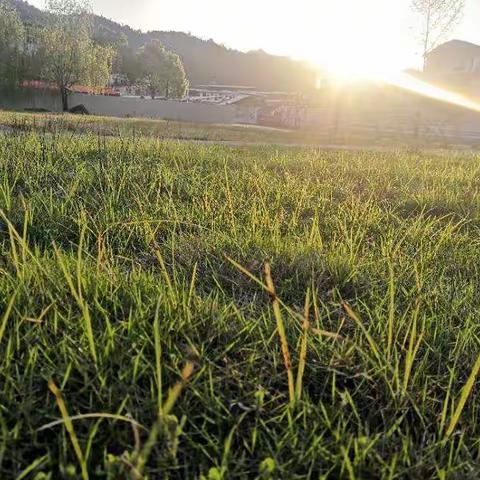 夏坊初级中学组织收看《成长的力量—开学第一课（花季篇）》