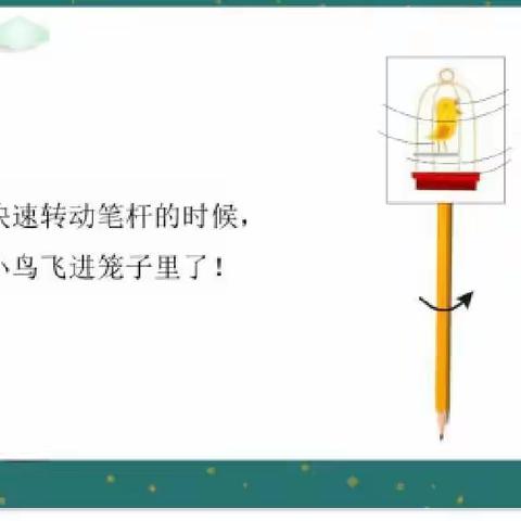 西工区邙岭路小学二年级科学素养课之小鸟入笼