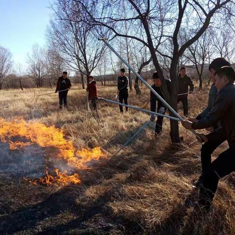 卧罗迪村扑火营救行动