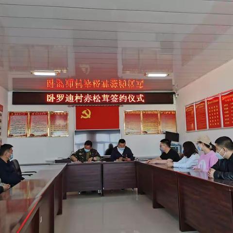 卧罗迪村新时代文明实践赤松茸种植签约仪式