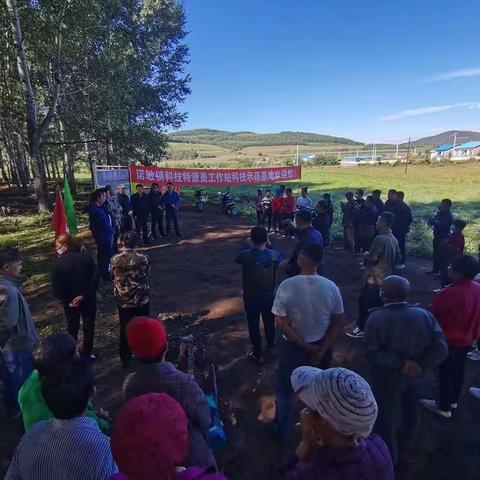 卧罗迪村赤松茸产业现场展示会