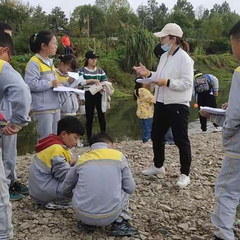 立足生态劳动教育，共建绿色和谐家园——记安吉县第九小学主题劳动月活动