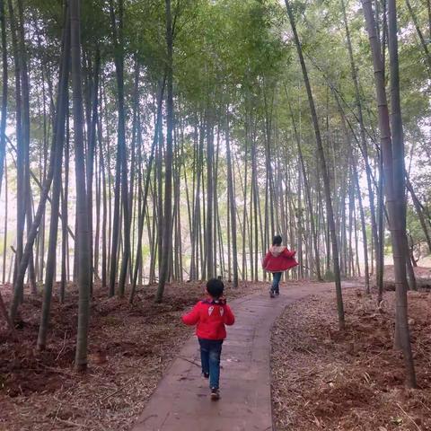 日记起步    点滴记录（一）