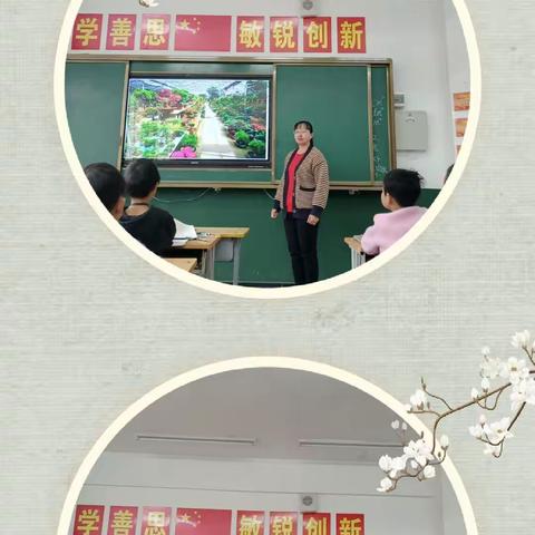 花卉养殖——张家湾小学三年级劳动教育主题活动