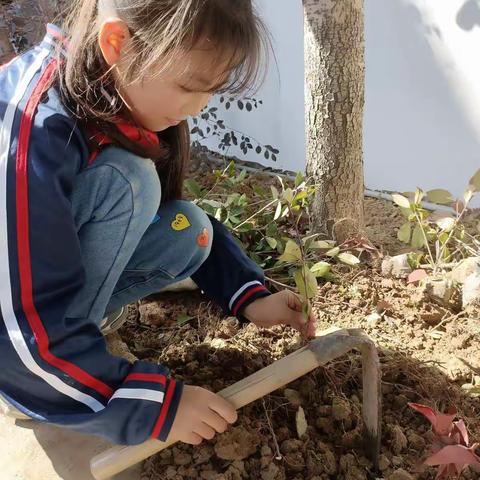 南小“齐行动，共护绿”🌴