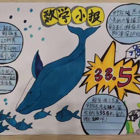 双峰小学开展魅力数学活动-妙趣横生的数学手抄报
