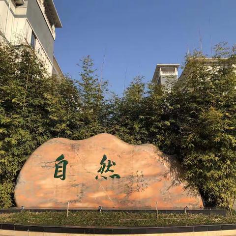 小片段 大风采——记苏园中学小学部数学教师片段教学竞赛活动