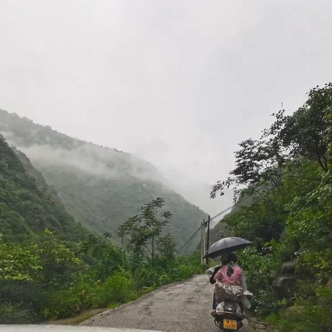 雨中情