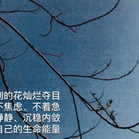 聆听 觉察 热爱 包容 珍惜，——东方红中学第13届心理节“爱生活”摄影展