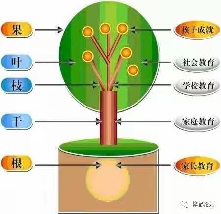 错过了孩子的重要的家庭教育期，我们可以这么做