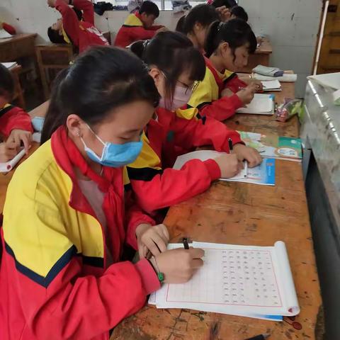 云锦小学课后服务六年级书法班成长足迹