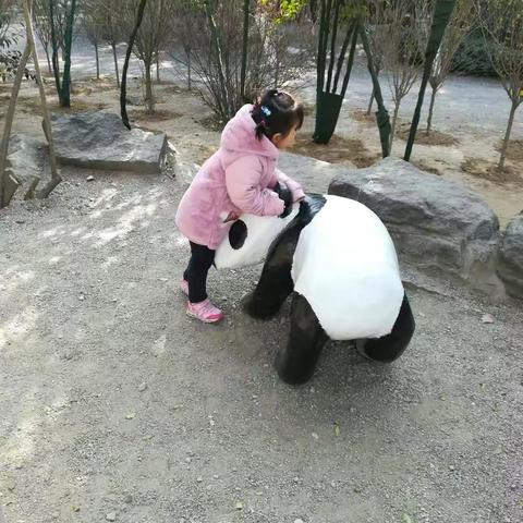 2071冬济南动物园