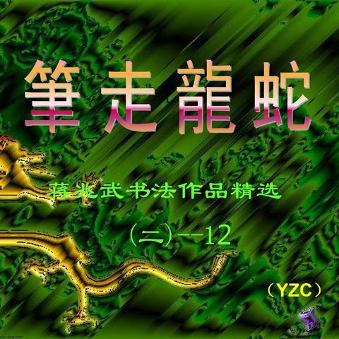 蒋兆武书法作品精选（二）-- 12