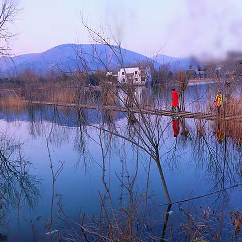 盏盏花灯报元夜，岁岁瑞雪兆丰年，云烛长调万户乐花灯遍照万家春。2017元宵夜随拍。