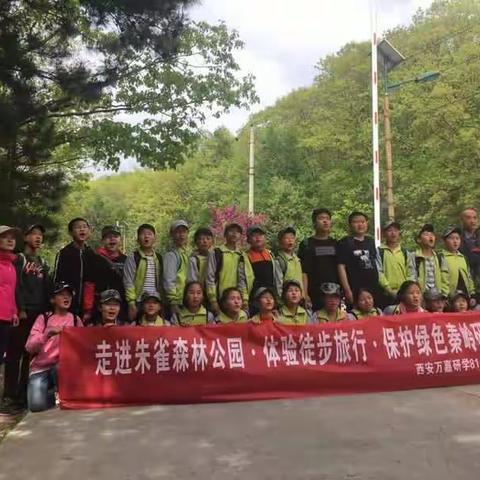 南羊小学六年级研学旅行