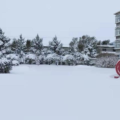 校园除雪记