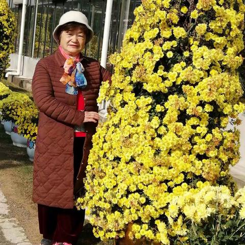 吉安市二0一九年菊花展