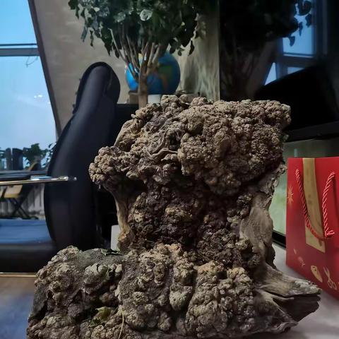 强哥古玩：黑龙江收藏爱好者的美篇