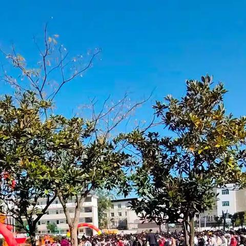 高效引领总复习，奋马扬鞭搏中考——古埠初中数学组复习研讨