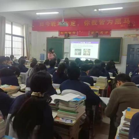领悟数学天地，架构知识与生活的桥梁
