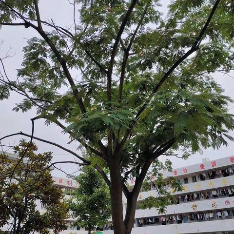 示范引领共交流，齐心协力促成长
