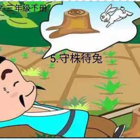 郑丹丹老师公开课《守株待兔》