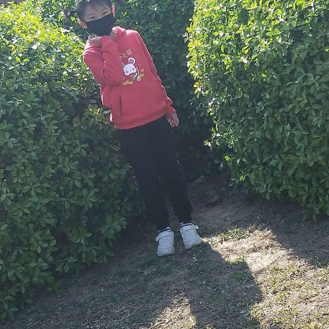 阳春三月，踏着微微春风，感受春天 ；拥抱春天；春天无处不在，春的气息愈加浓烈…