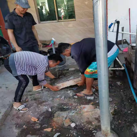 凤岭村委会开展以迎“新春”为主题的环境卫生大扫除活动