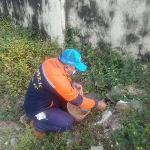 凤岭村开展村庄清洁冬季战役行动暨“迎新春”爱国卫生健康大行动