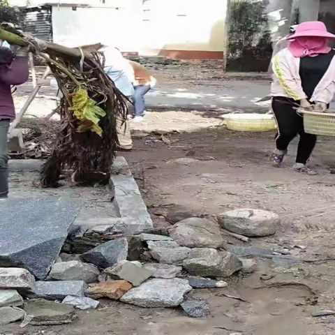 凤岭村开展以迎“新春”搬家式环境卫生大扫除活动