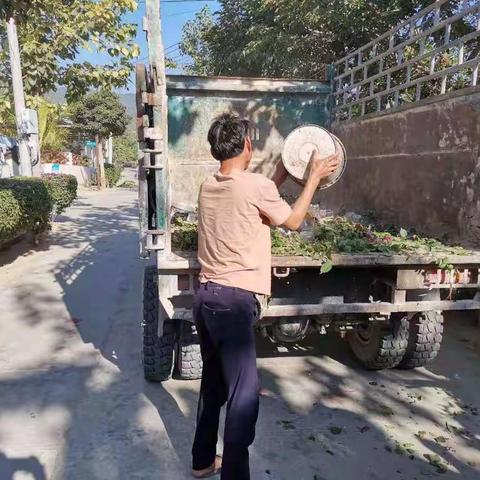 凤岭村开展村庄清洁冬季战役行动暨“五爱”环境卫生健康大行动”