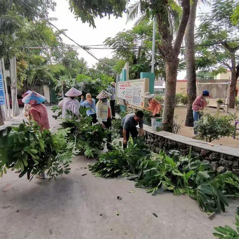 凤岭村开展关于持续推进“五爱”卫生健康大行动深入开展迎“元旦”大扫除活动