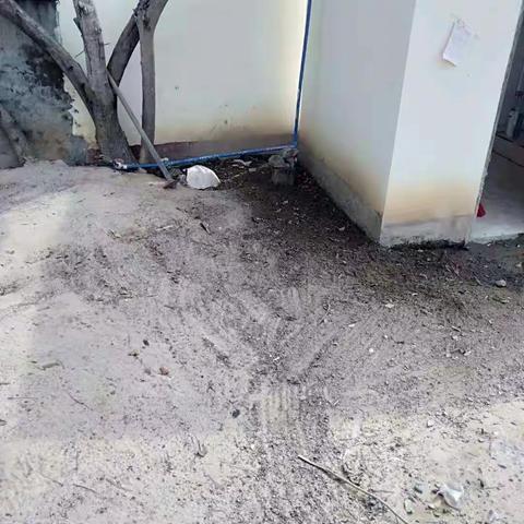 凤岭村深入开展“清洁家园 防蚊灭蚊”卫生行动暨人居环境卫生整治工作