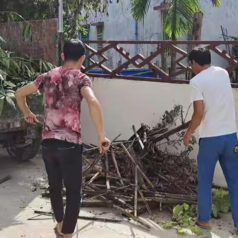 凤岭村持续推进“五爱”卫生健康大行动暨迎“元旦”大扫除活动