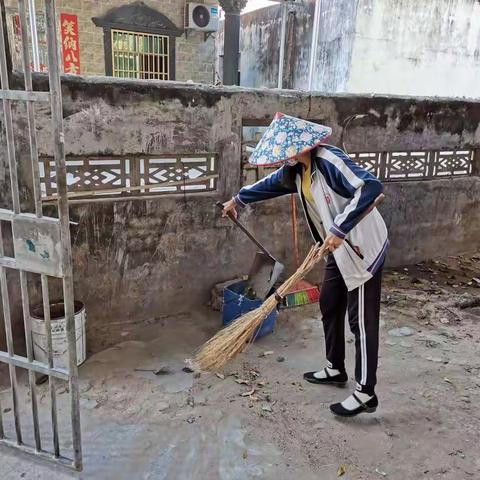 凤岭村开展迎“新春”爱国卫生运动暨“搬家式”环境卫生大扫除活动