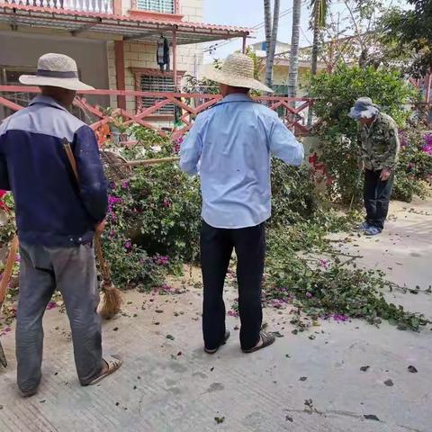 凤岭村开展迎接博鳌亚洲论坛2021年年会爱国卫生运动暨“五爱”环境卫生健康大行动