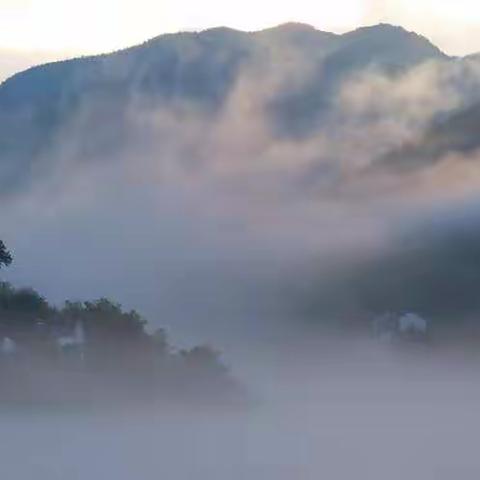 桃花潭水好赛舟