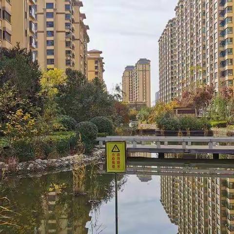 绿茵贝贝幼儿园秋游活动——“快乐出游，拥抱秋天🍂”