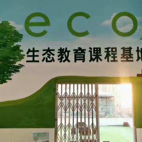 手拉手创建生态校园，心连心共享绿色生活———记阿奎利亚学校凤巢路校区班级文化建设之生态走廊