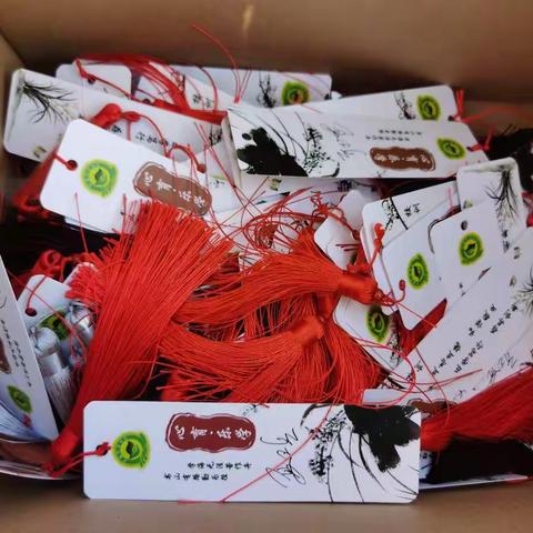 开学礼，祝福新学期———阿奎利亚学校开学系列报道