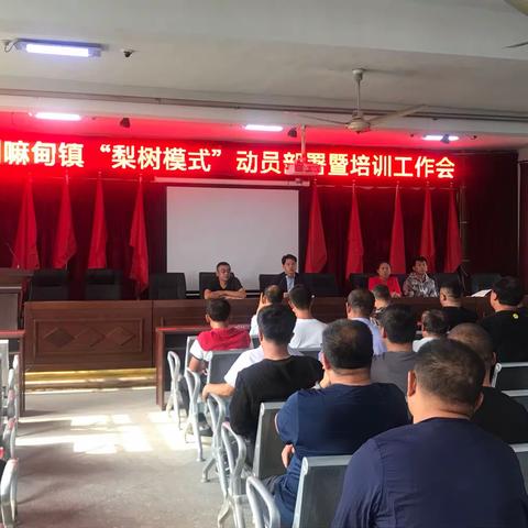 喇嘛甸镇“梨树模式”动员部署暨培训会