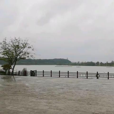 20211016屈子文化园2
