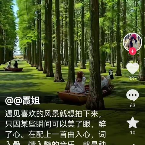 优美词句