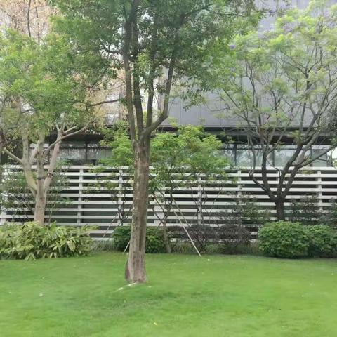 背景
