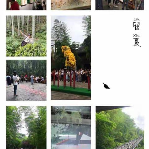 南京银行泰州分行私钻客户南山竹海财富之旅第二期成功举办