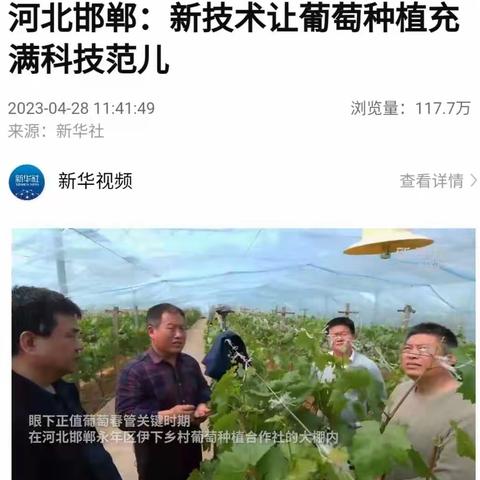 【高端融媒看永年】﻿﻿﻿﻿您关心的本周大事！