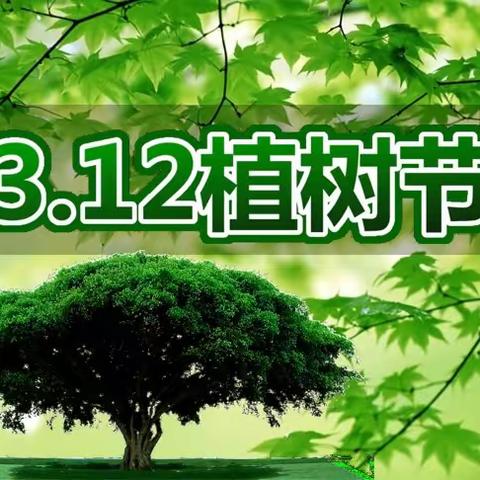 3.12 植树节