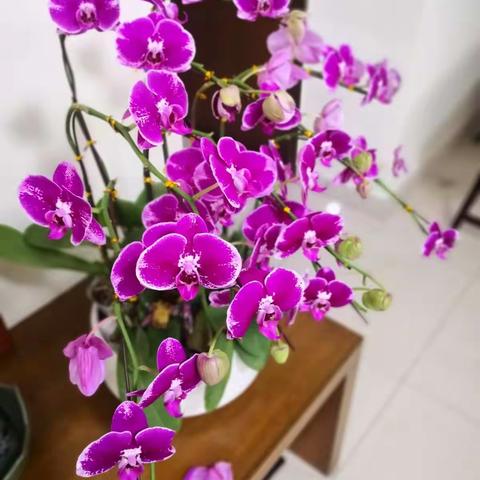 走过这段时间，好好去生活