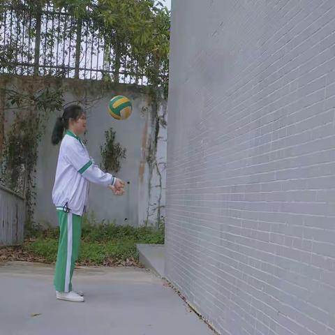 身心健康(排球垫球)